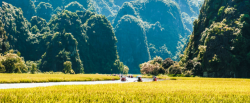 610x250_Ninh_Binh